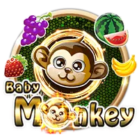 Baby Monkey